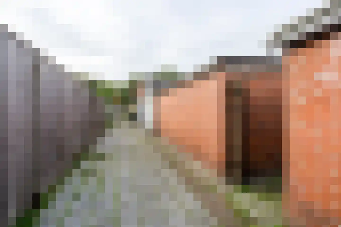 Minervastraat 77 Veendam thumbnail 9