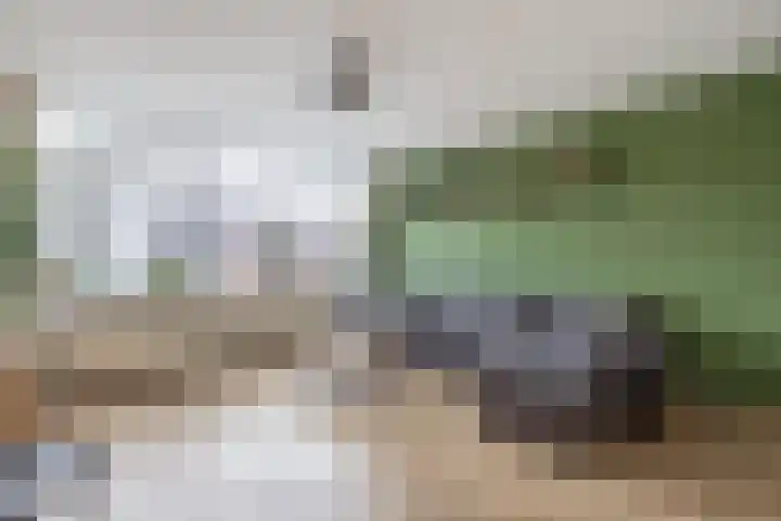Minervastraat 98 Veendam thumbnail 12