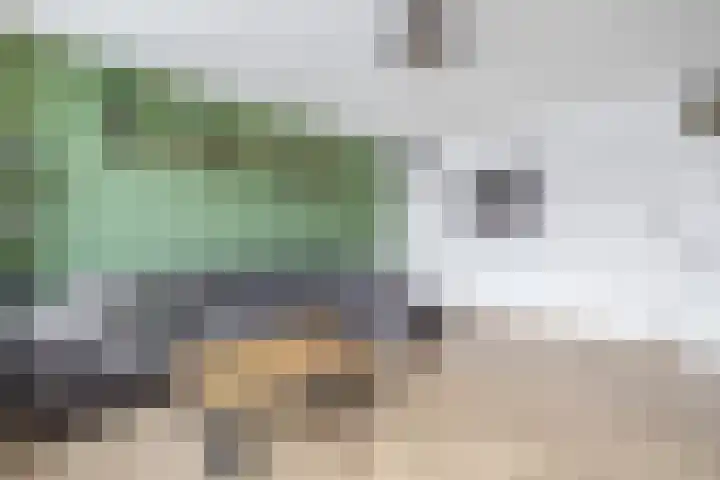 Minervastraat 98 Veendam thumbnail 13