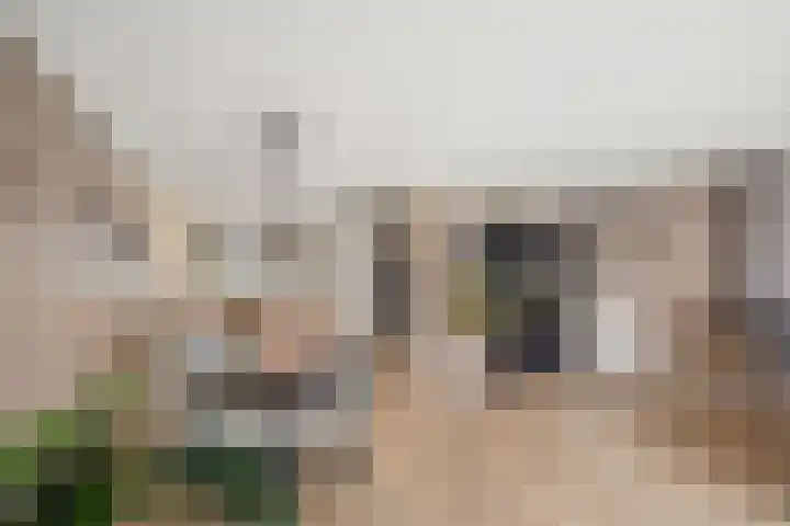 Minet Stormstraat 4 Hoofddorp thumbnail 14
