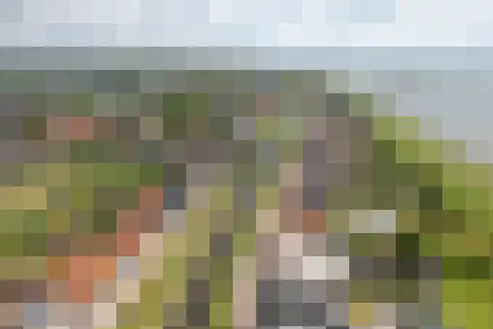 Minet Stormstraat 4 Hoofddorp thumbnail 21