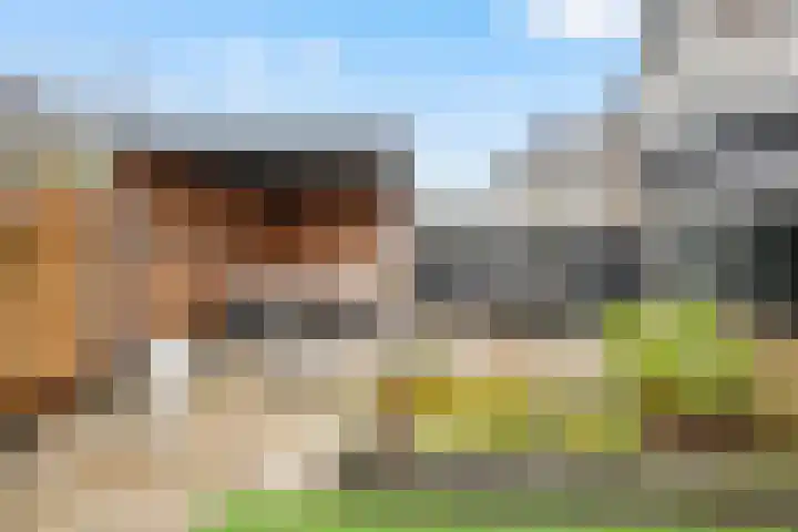 Minet Stormstraat 4 Hoofddorp thumbnail 22