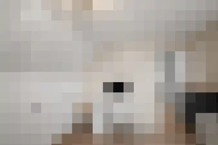 Minet Stormstraat 4 Hoofddorp thumbnail 44
