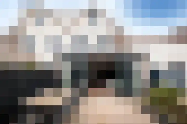 Minet Stormstraat 4 Hoofddorp thumbnail 50