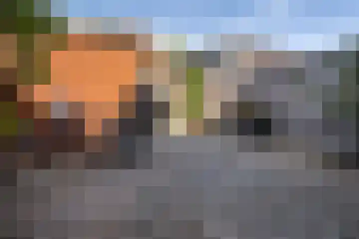 Minet Stormstraat 5 Hoofddorp thumbnail 5