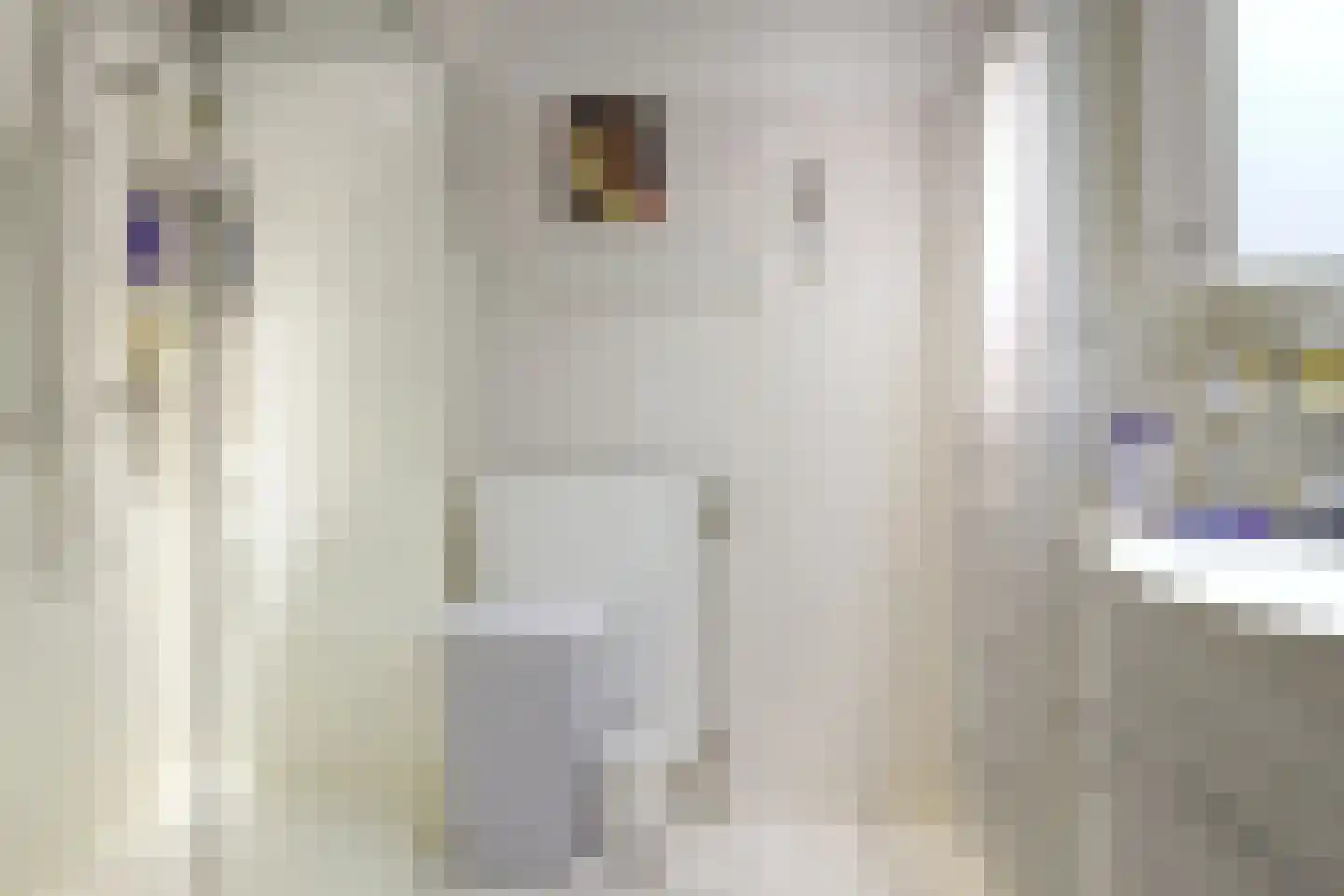 Mingersbergstraat 20 Tilburg thumbnail 10