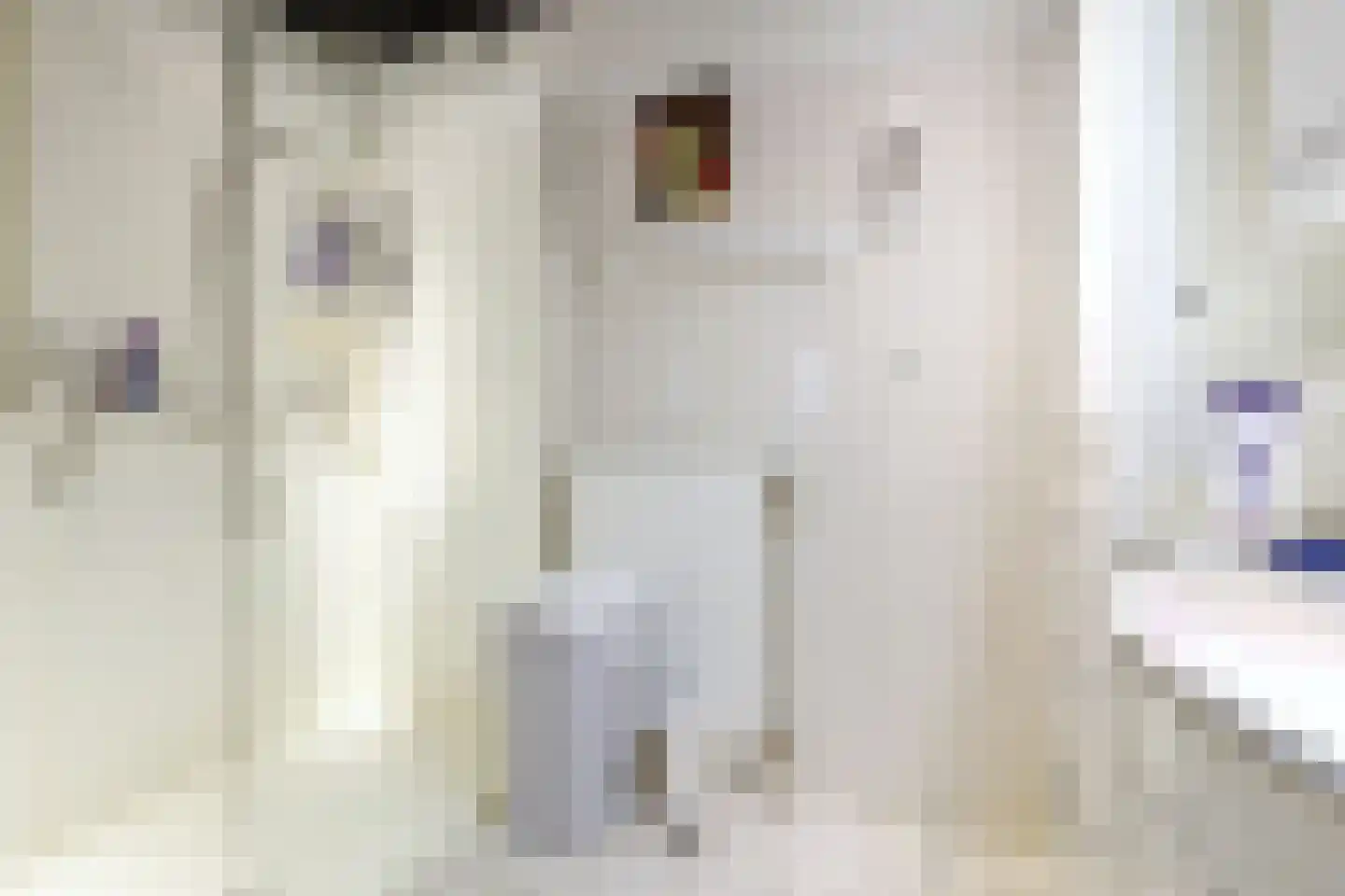 Mingersbergstraat 20 Tilburg thumbnail 8