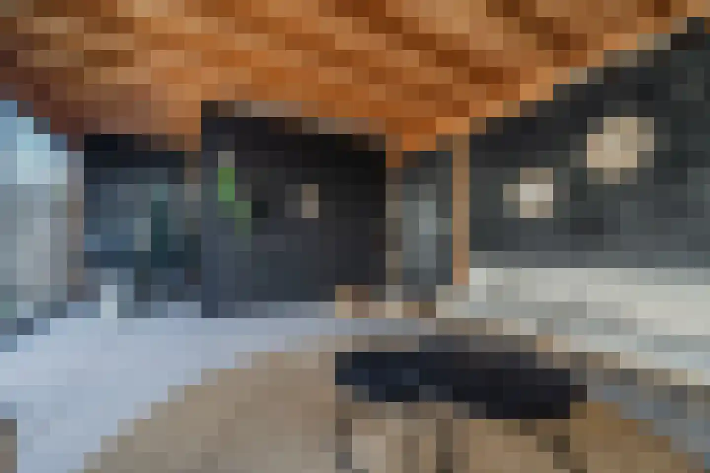 Mingersbergstraat 9 Tilburg thumbnail 51