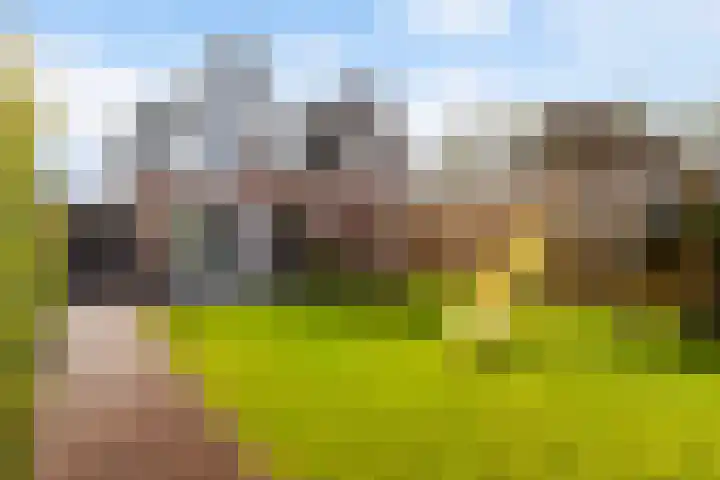 Miniawier 10 Grou thumbnail 31
