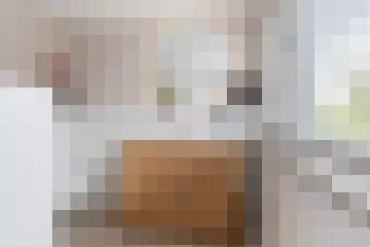 Miniawier 10 Grou thumbnail 4