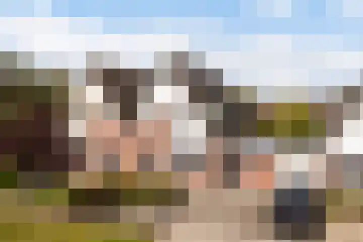 Miniawier 10 Grou thumbnail 5