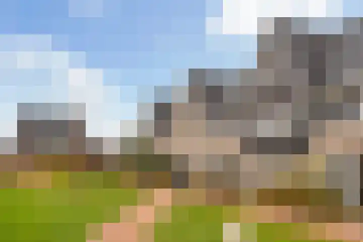 Miniemenlaan 13 Alphen aan den Rijn thumbnail 10