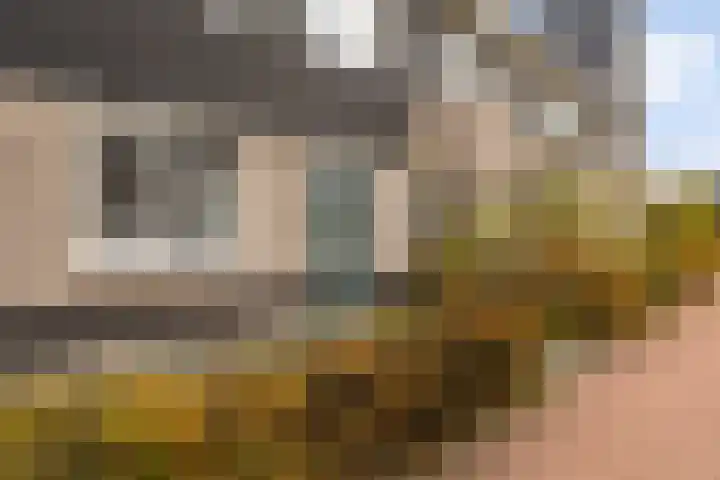 Miniemenlaan 13 Alphen aan den Rijn thumbnail 12
