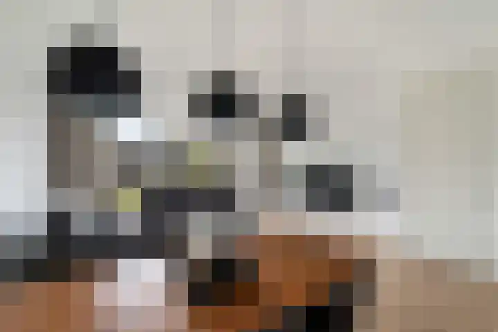 Miniemenlaan 13 Alphen aan den Rijn thumbnail 18
