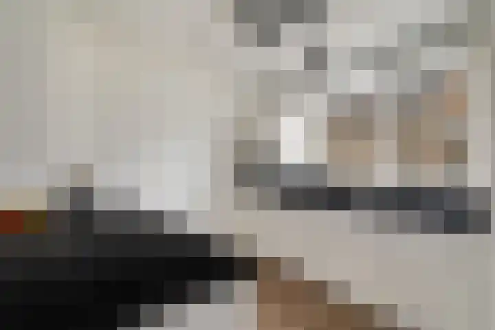 Miniemenlaan 13 Alphen aan den Rijn thumbnail 26
