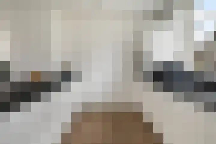 Miniemenlaan 13 Alphen aan den Rijn thumbnail 27