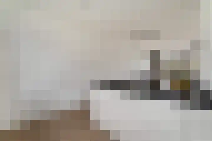 Miniemenlaan 13 Alphen aan den Rijn thumbnail 28