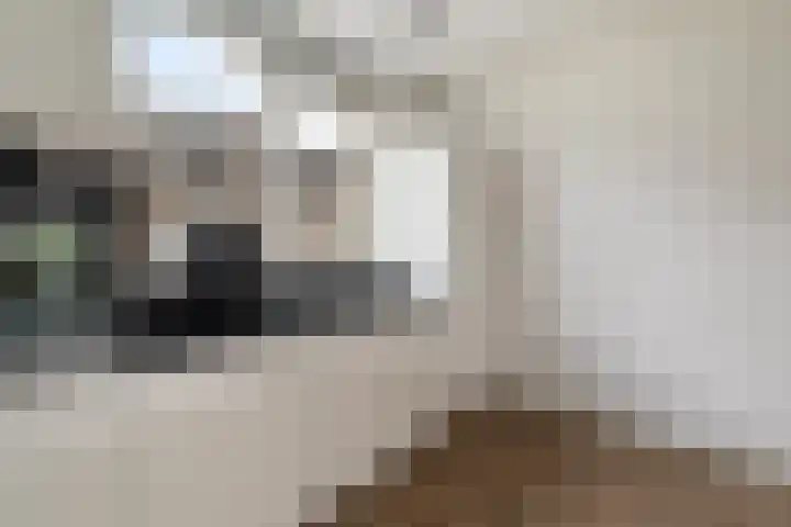 Miniemenlaan 13 Alphen aan den Rijn thumbnail 29