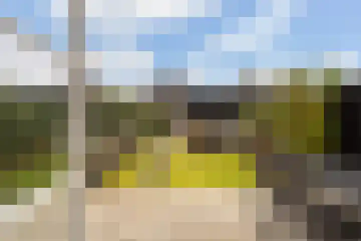 Miniemenlaan 13 Alphen aan den Rijn thumbnail 32