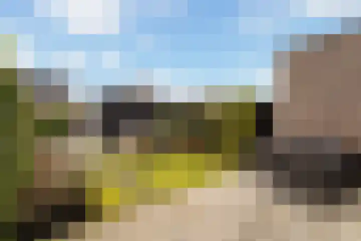 Miniemenlaan 13 Alphen aan den Rijn thumbnail 33