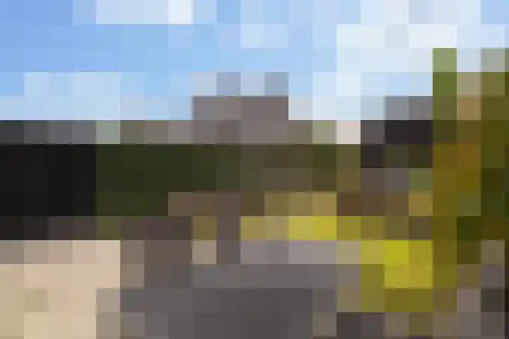 Miniemenlaan 13 Alphen aan den Rijn thumbnail 34
