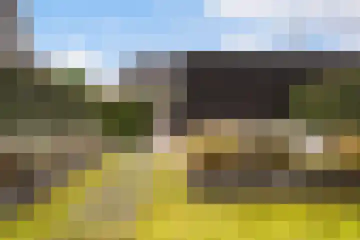 Miniemenlaan 13 Alphen aan den Rijn thumbnail 35