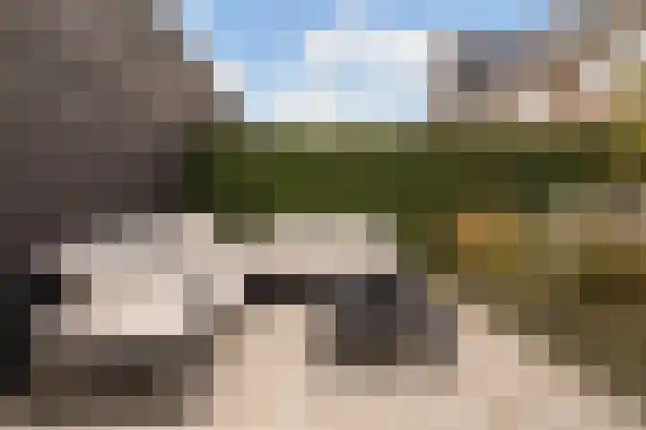 Miniemenlaan 13 Alphen aan den Rijn thumbnail 39