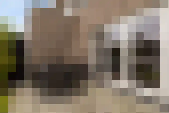 Miniemenlaan 13 Alphen aan den Rijn thumbnail 40