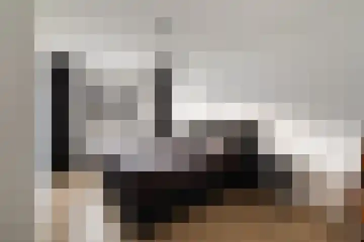 Miniemenlaan 13 Alphen aan den Rijn thumbnail 43