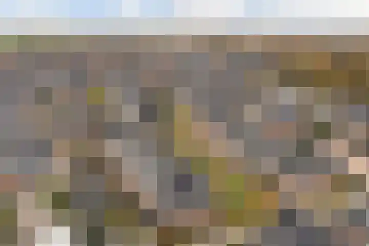 Miniemenlaan 13 Alphen aan den Rijn thumbnail 5