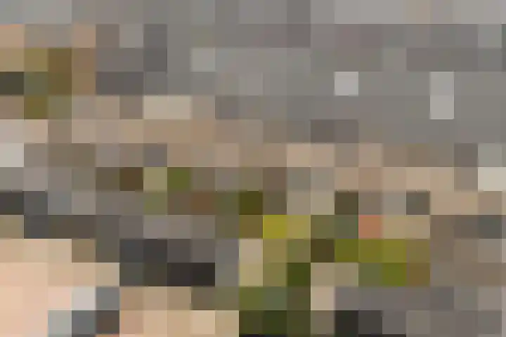 Miniemenlaan 13 Alphen aan den Rijn thumbnail 53
