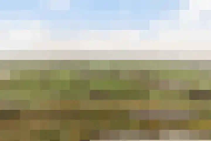 Miniemenlaan 13 Alphen aan den Rijn thumbnail 58