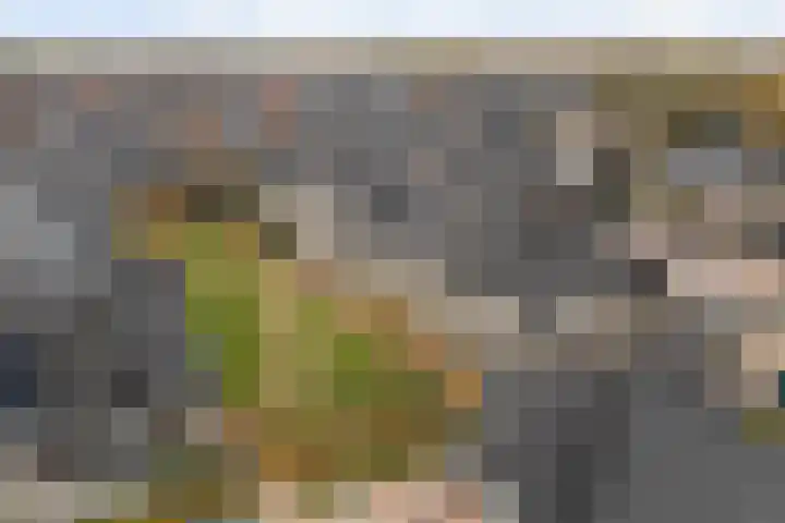 Miniemenlaan 13 Alphen aan den Rijn thumbnail 6