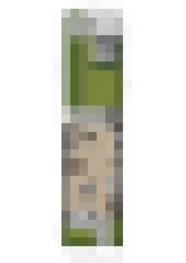 Miniemenlaan 13 Alphen aan den Rijn thumbnail 62