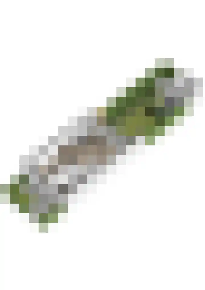 Miniemenlaan 13 Alphen aan den Rijn thumbnail 66