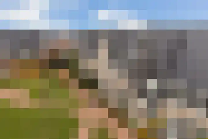 Miniemenlaan 13 Alphen aan den Rijn thumbnail 7