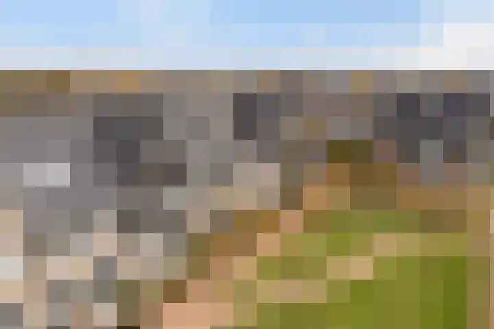 Miniemenlaan 13 Alphen aan den Rijn thumbnail 8