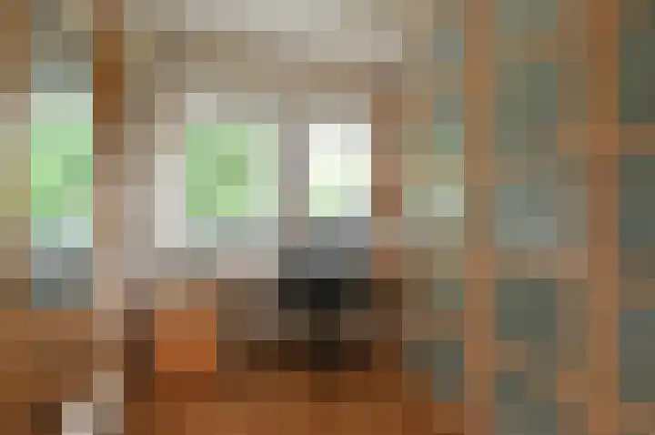 Minister A.S. Talmalaan 3 Bussum thumbnail 18