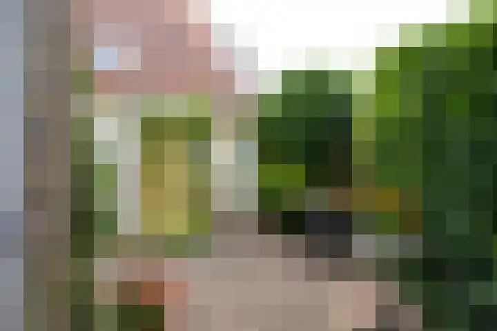 Minister A.S. Talmalaan 3 Bussum thumbnail 8
