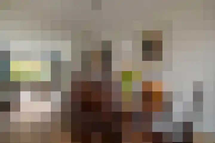 Minister A.S. Talmalaan 5 Bussum thumbnail 16