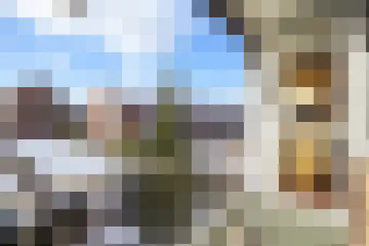 Minister Aalberselaan 114 Rijswijk thumbnail 31