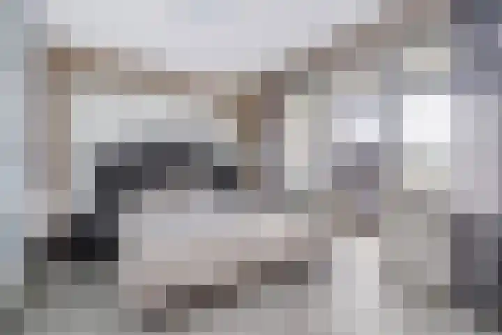 Minister Aalberselaan 114 Rijswijk thumbnail 4