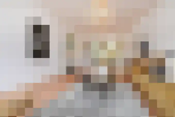 Minister Aalberselaan 120 Rijswijk thumbnail 10