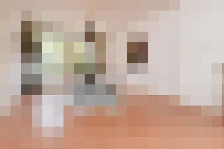 Minister Aalberselaan 120 Rijswijk thumbnail 11