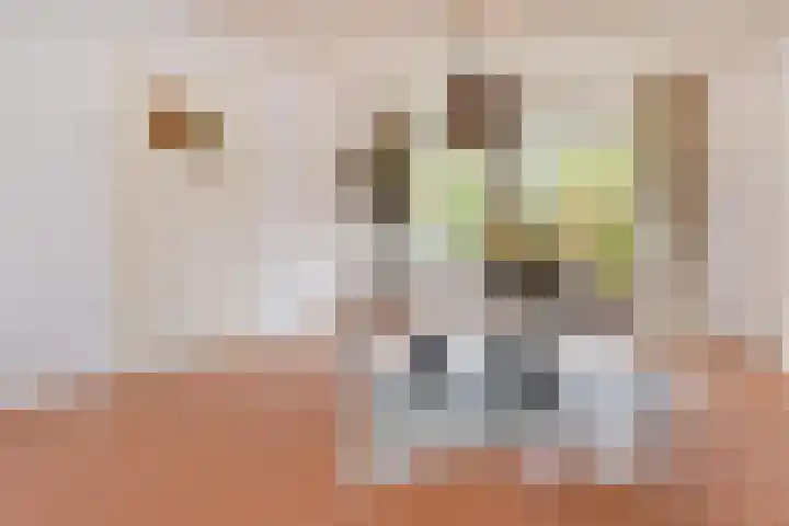 Minister Aalberselaan 120 Rijswijk thumbnail 12