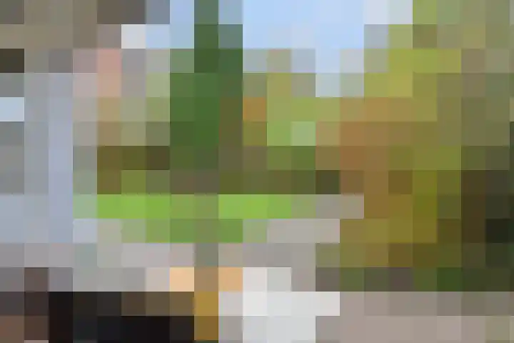 Minister Aalberselaan 120 Rijswijk thumbnail 13