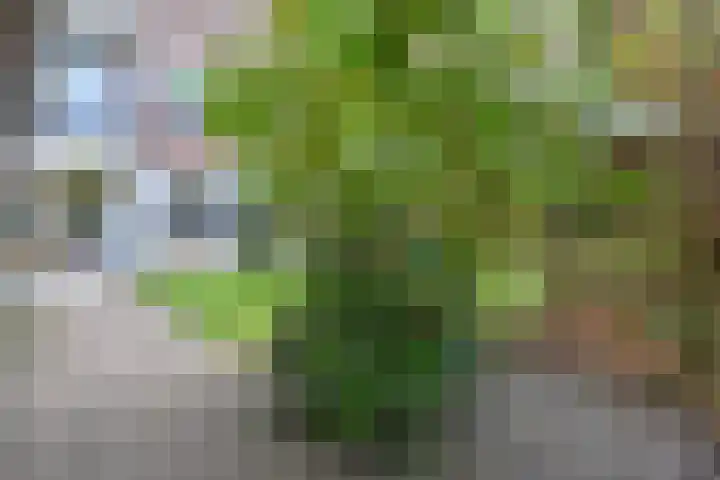 Minister Aalberselaan 120 Rijswijk thumbnail 18