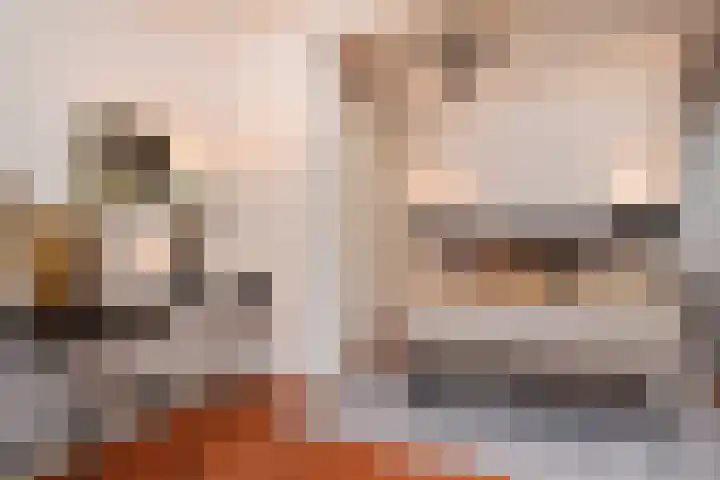 Minister Aalberselaan 120 Rijswijk thumbnail 27