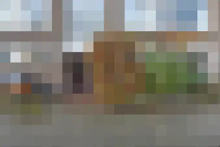 Minister Aalberselaan 120 Rijswijk thumbnail 4