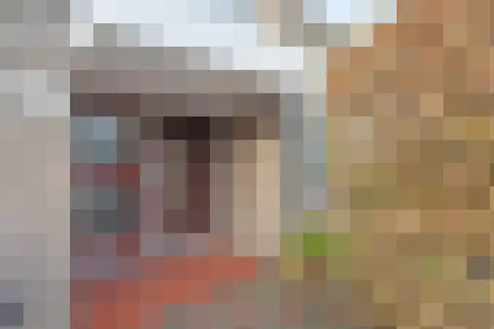 Minister Aalberselaan 120 Rijswijk thumbnail 5
